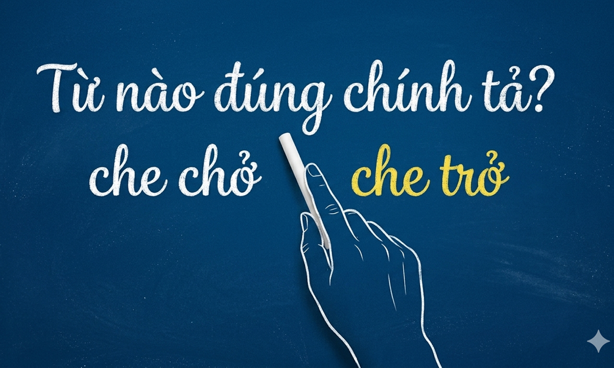 Che chở hay che trở – từ nào mới đúng chính tả?